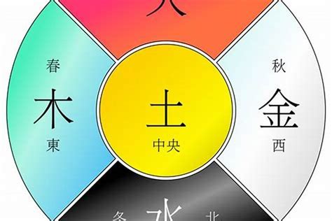 五行木代表什么|五行「木」的特征、取象